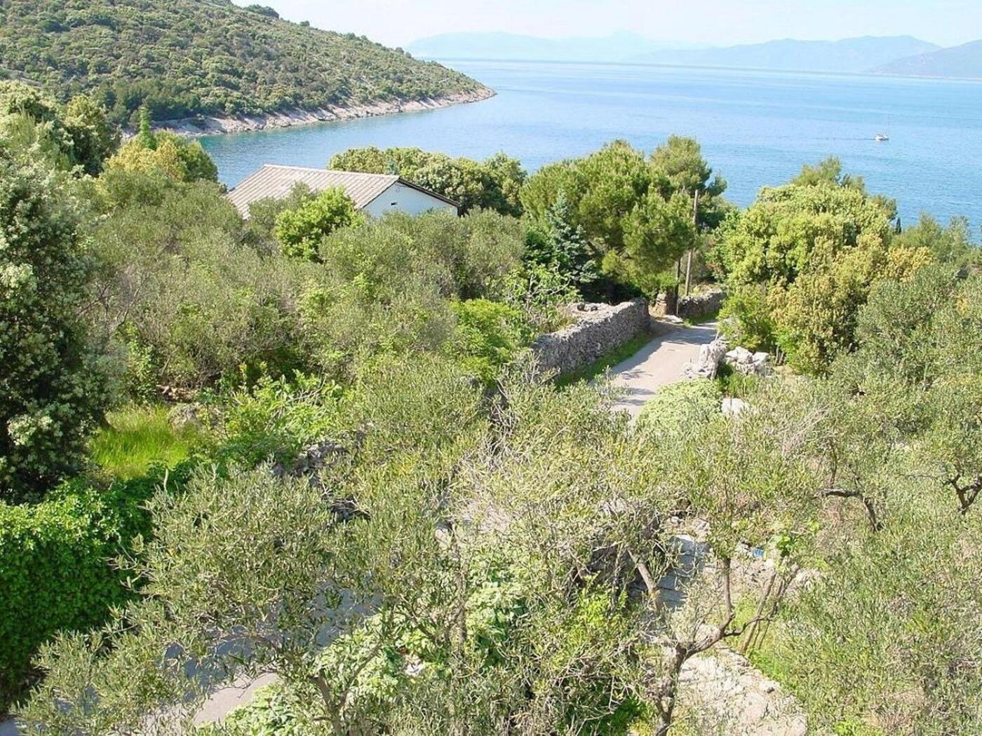 Apartments Griv - Close To The Sea Valun Exterior foto